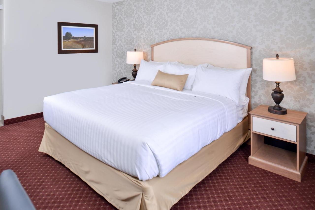 Appomattox Inn And Suites מראה חיצוני תמונה